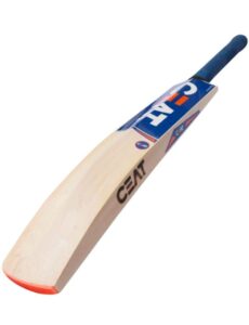 best cricket bat to buy online