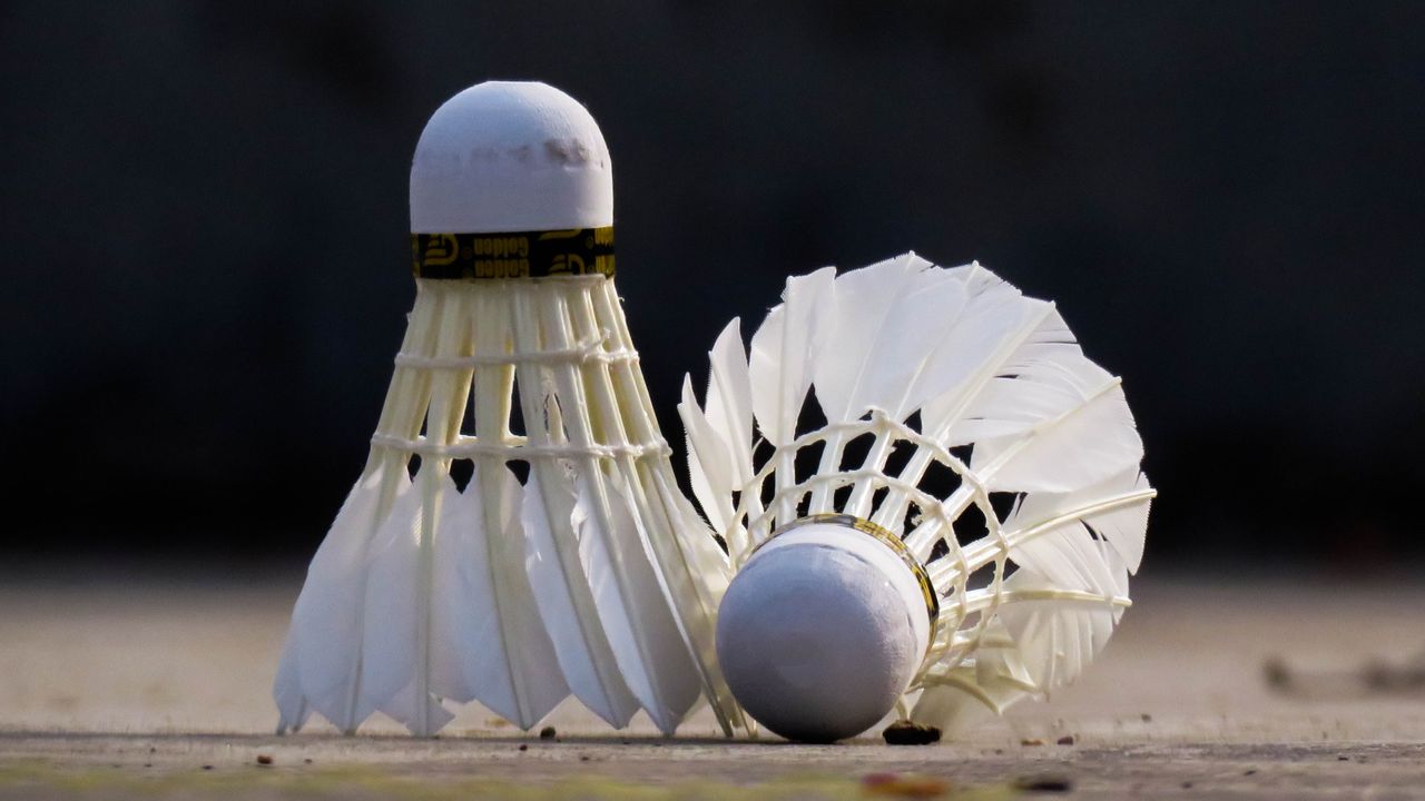 services-01 Two white shuttlecocks on a badminton court. Ideal for sports-themed content.